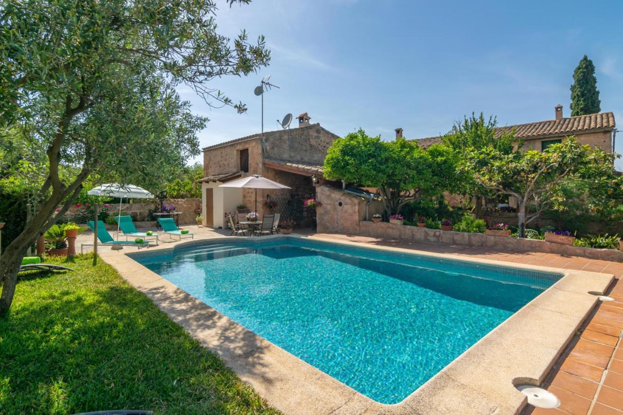 Fiolet Villa