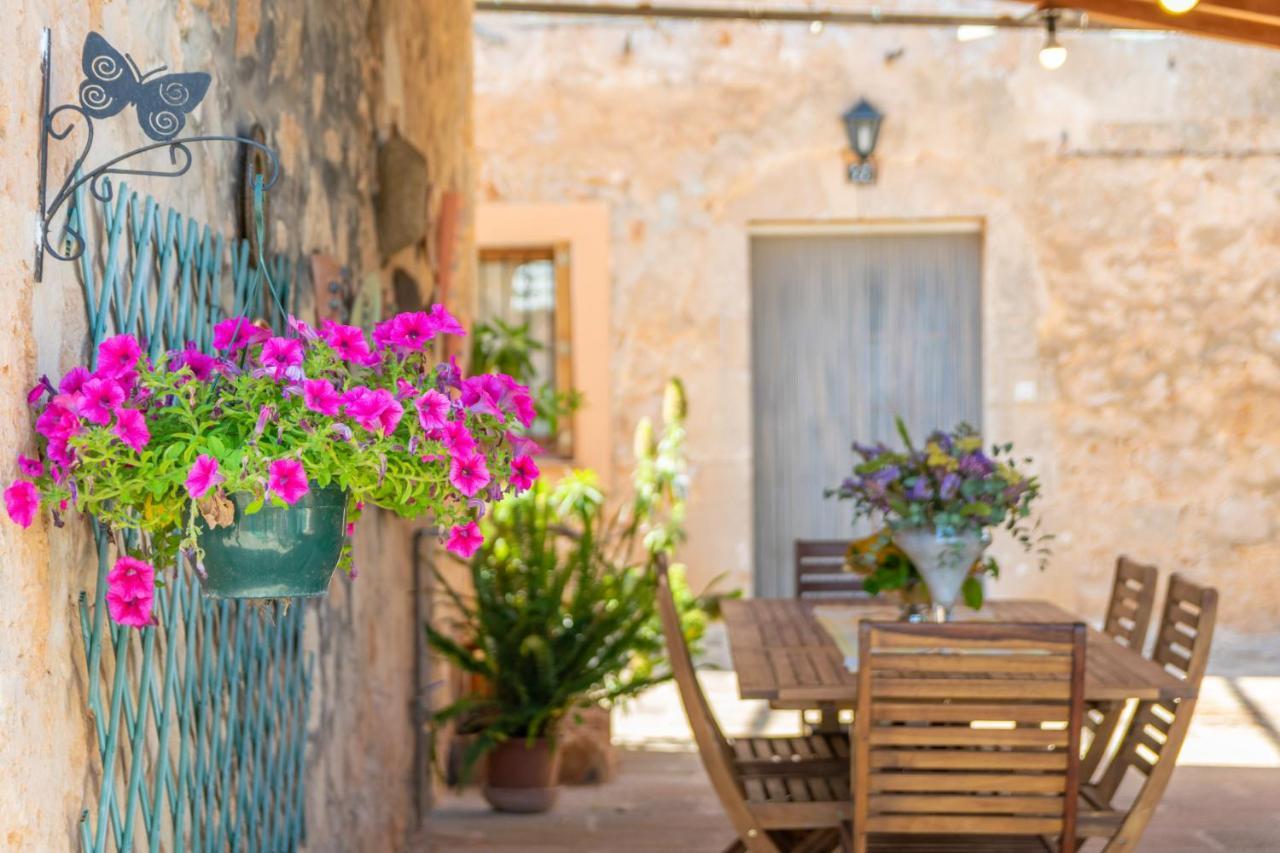 Fiolet Villa Algaida (Mallorca)